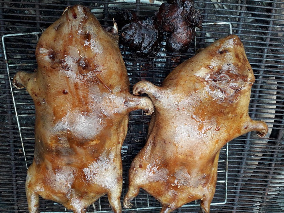 thịt dúi nướng