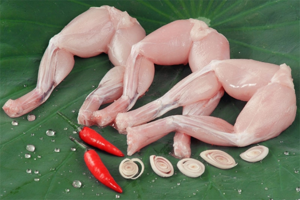 dinh dưỡng thịt ếch