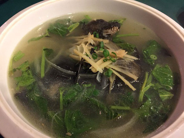 tác dụng thịt dơi