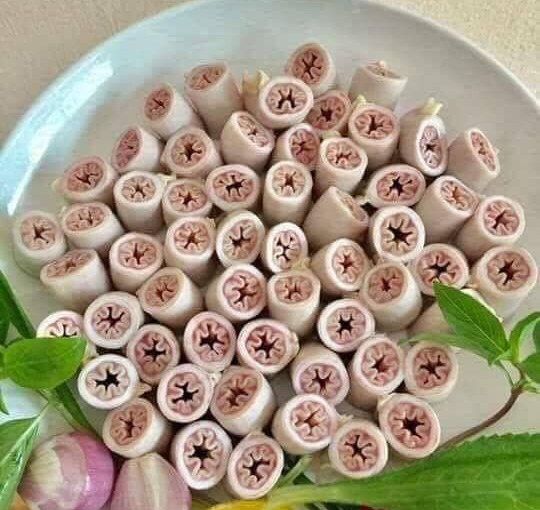 Một số lưu ý khi luộc lòng heo (lợn)