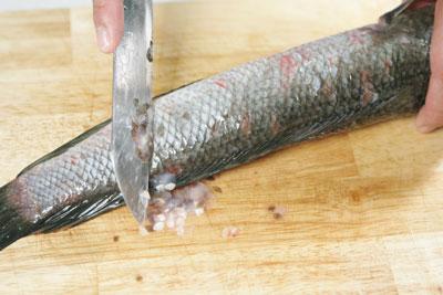Dùng sống dao gõ đầu cá cho cá chết rồi trở lưỡi dao đánh sạch vảy cá.