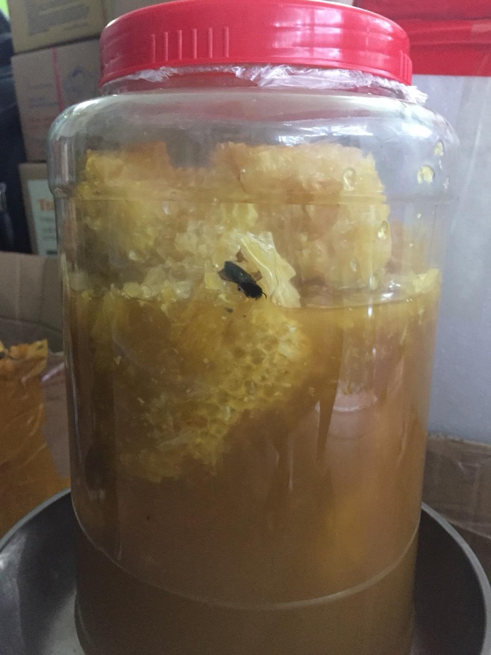 Bình mật ong rừng nguyên sáp tại Chợ Sạch