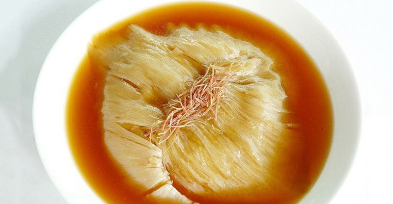 Vi cá mập Vi cá mập