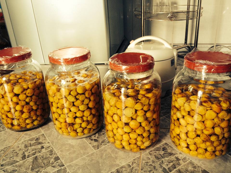 Cách làm dấm mơ muối