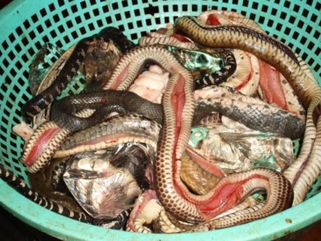 Thịt rắn ráo thường dùng làm gì?