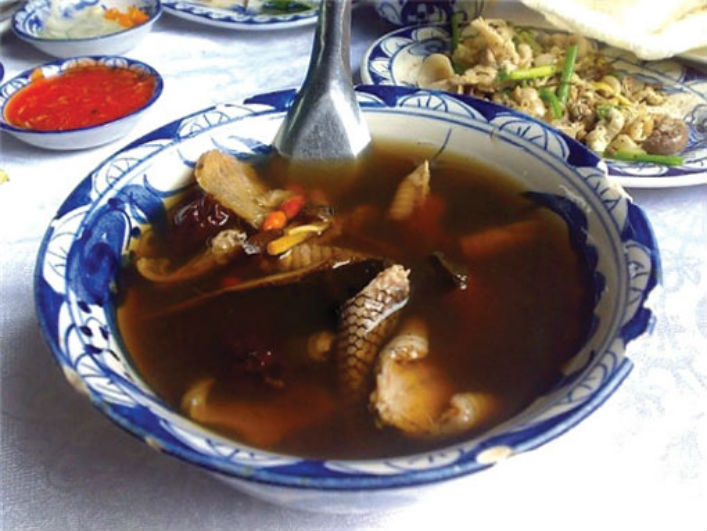 Rắn tiềm thuốc Bắc