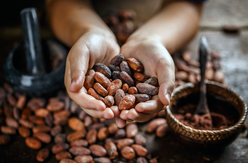 Cách pha cacao ngon