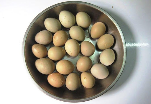Trứng chim Trĩ - 110k/chục