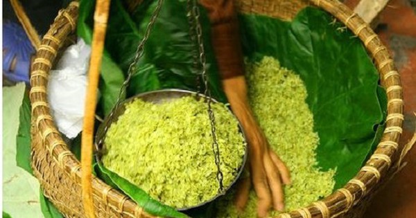 Lưu ý khi chọn mua cốm non 