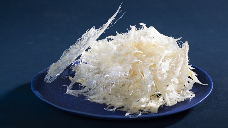 Giới thiệu về Vi cá mập tách sụn