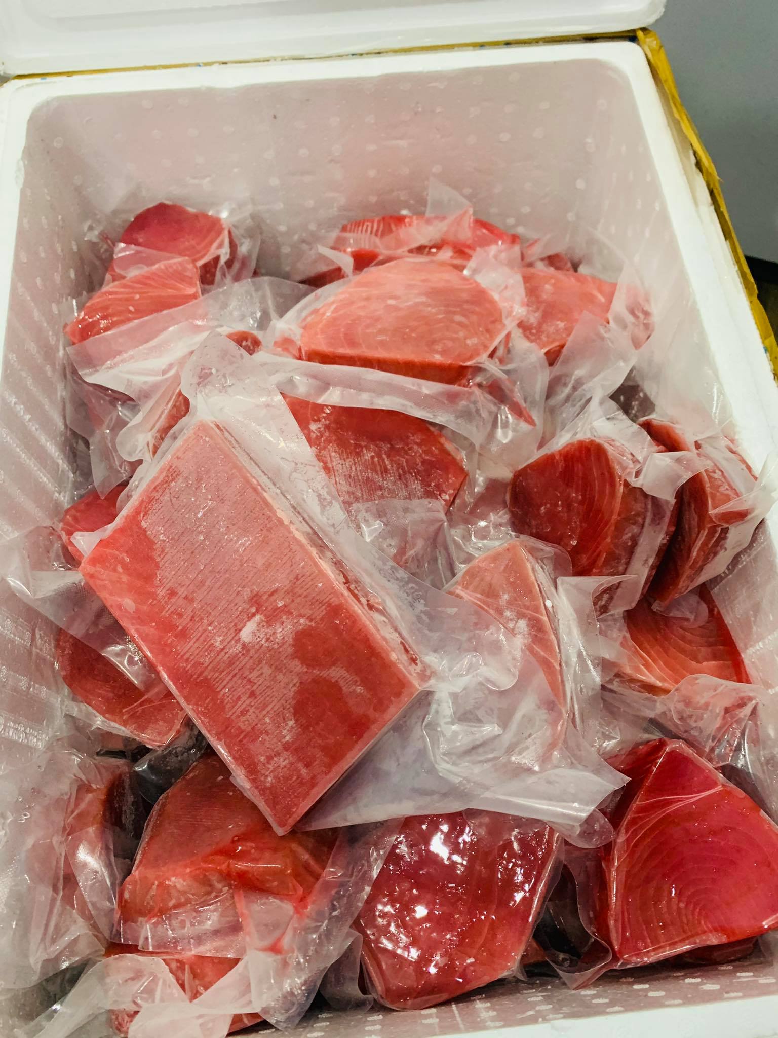 cá ngừ ở hà nội cá ngừ đại dương
