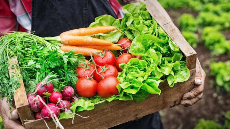 Cửa hàng thực phẩm sạch uy tín ở quận Thanh Xuân, Hà Nội