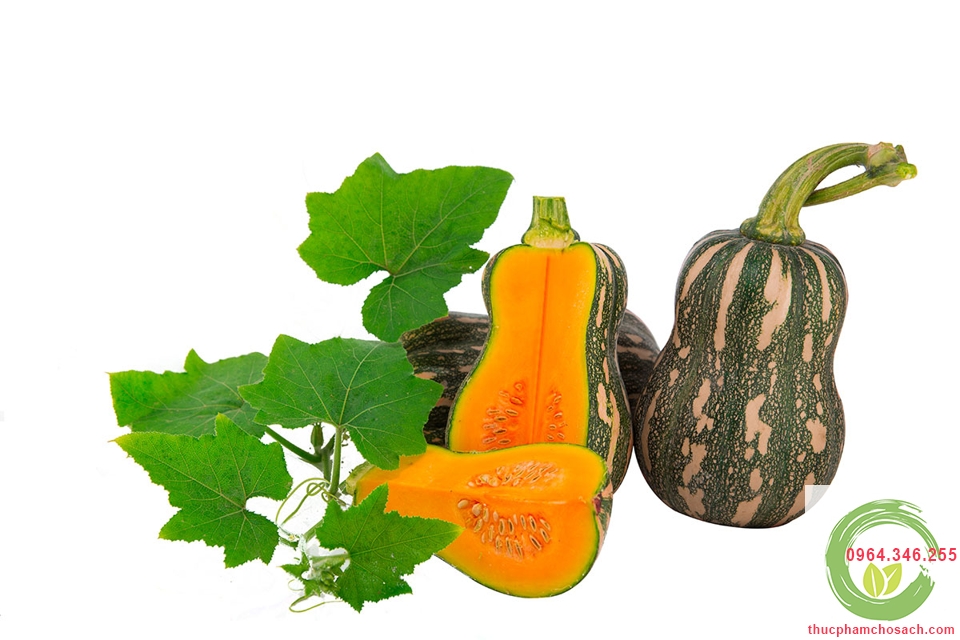 công dụng từ bí đỏ