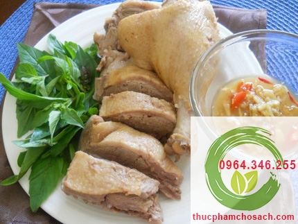 thit vit hung lang thịt vịt húng láng