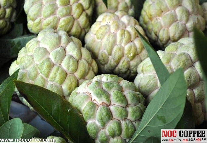 na bo sach na bở sạch