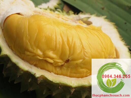 sầu riêng mong thon