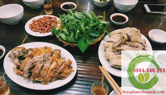 vit bien luoc vịt biển luộc