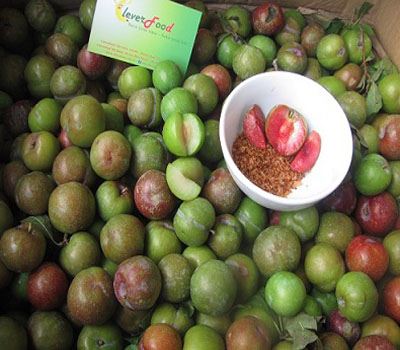 mận hậu sơn la mận hậu sơn la
