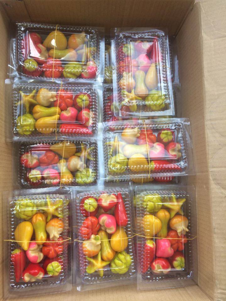 Hộp bánh đậu xanh trái cây 