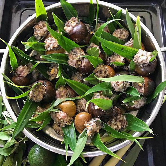 cha oc nhoi cho sach