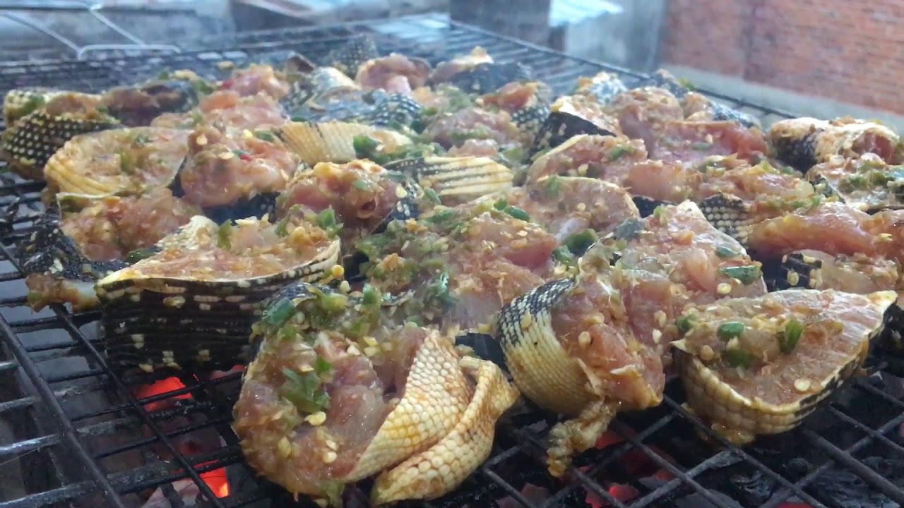 Giới thiệu về thịt kỳ đà