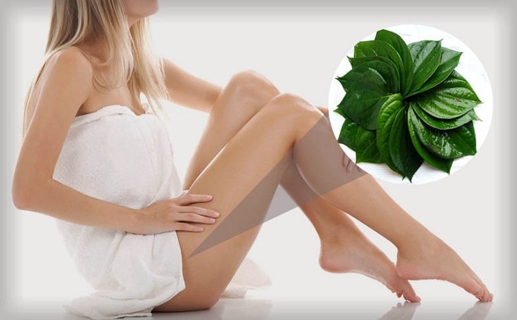 Chữa bệnh phụ khoa bằng lá trầu