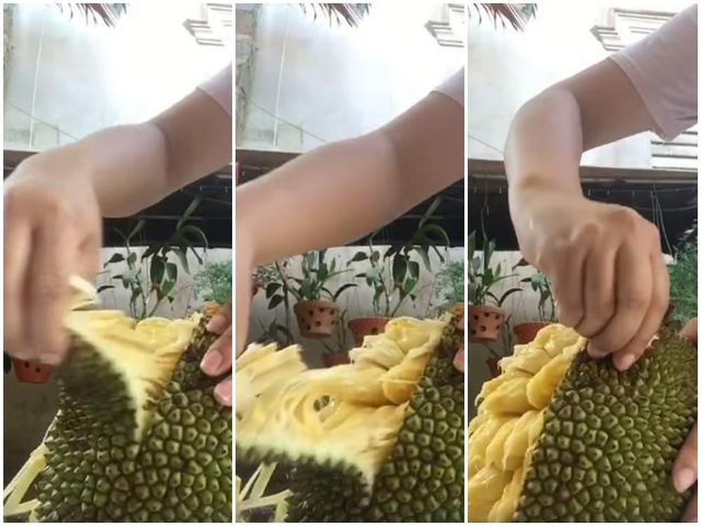 Công dụng của mít mật