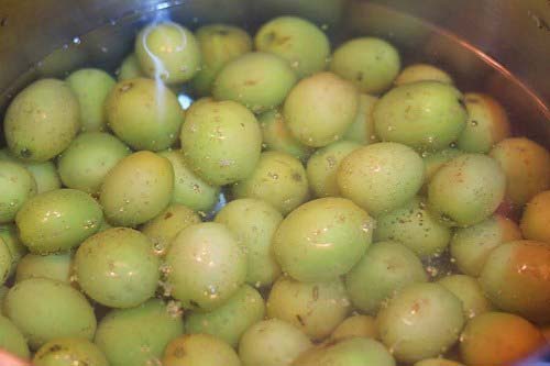 Táo sau khi được thu hoạch về cho vào chậu nước rủa sạch