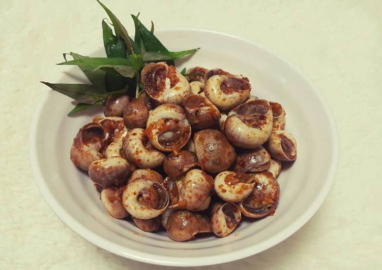 Công dụng của ốc mỡ Công dụng của ốc mỡ