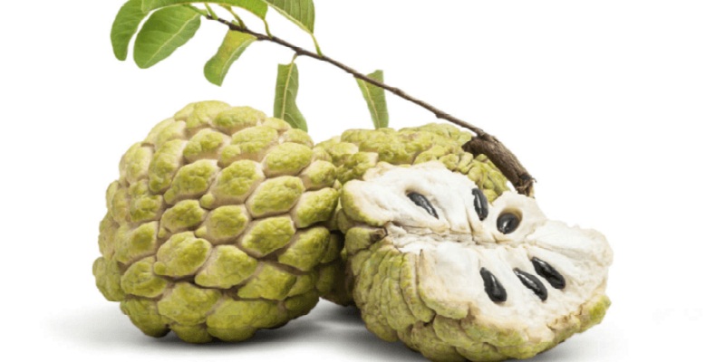 Na dai có thịt quả trắng, rất ít hạt