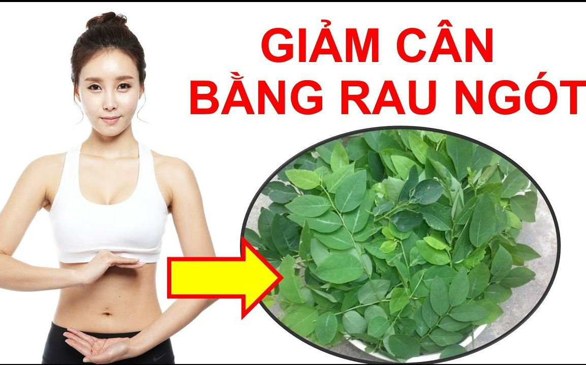 Rau ngót có tác dụng giảm cân