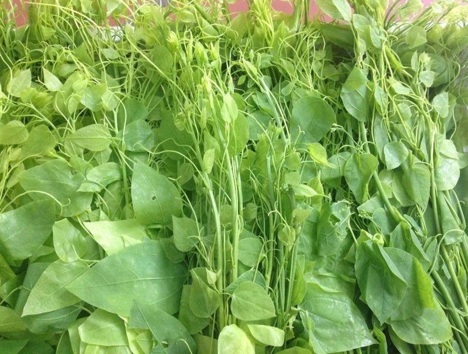 Thành phần dinh dưỡng có trong rau bò khai