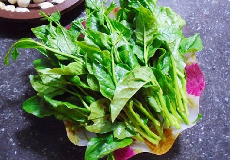 Rau mồng tơi điều trị bệnh thiếu máu