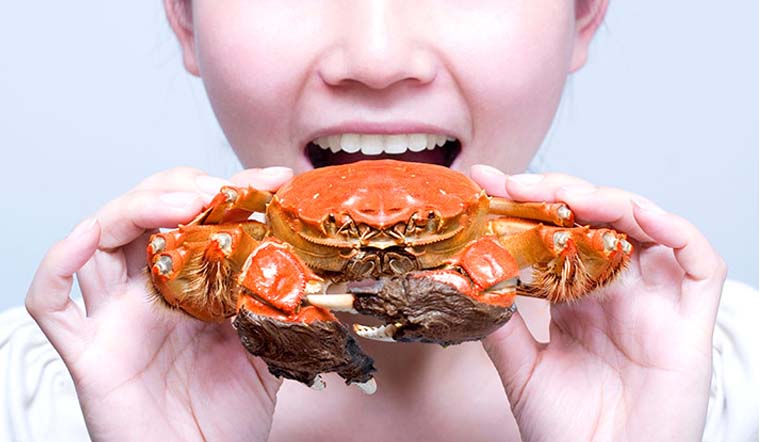 Tác dụng của cua biển đối với cơ thể