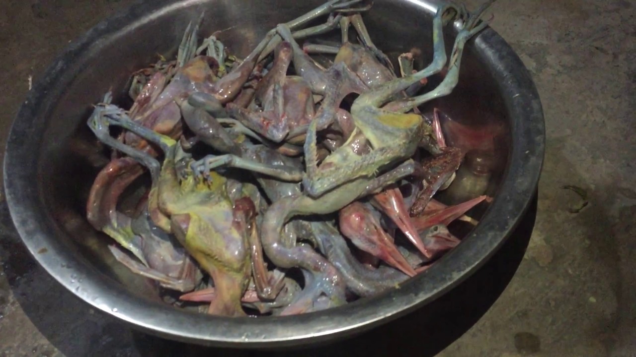 sơ chế thịt cò đồng