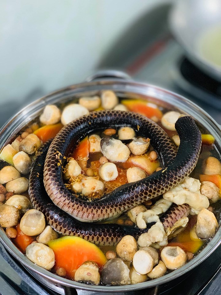 4 tác dụng sức khỏe của việc ăn thịt rắn