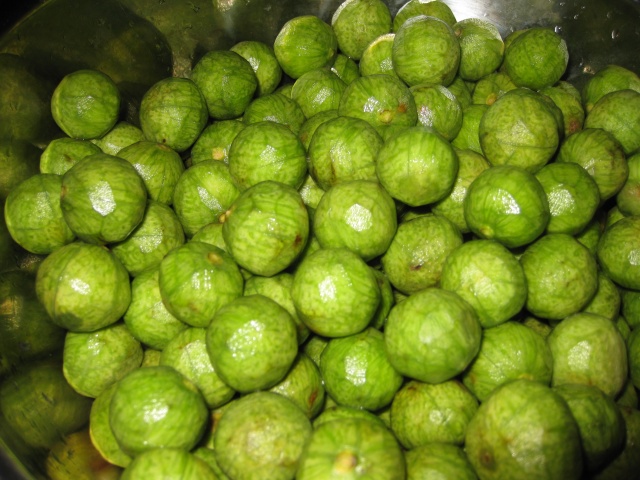 Giới thiệu về quả sấu non