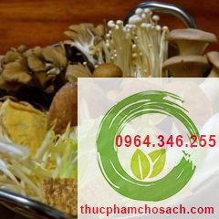 Nguyên liệu nấu món lẩu đầu cá hồi