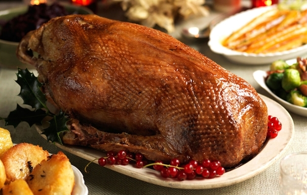 Món ăn chữa bệnh từ thịt ngỗng