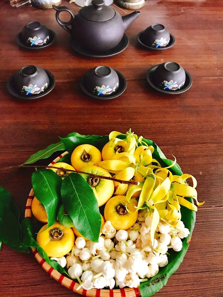 thị hoàng lan nhài