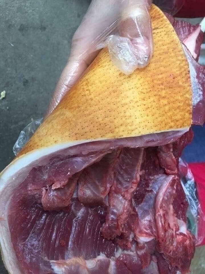 Giá thịt lợn rừng tại Hà Nội