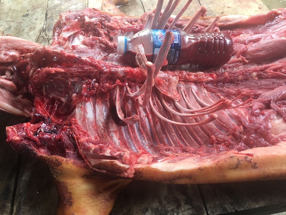 Giá bán thịt lợn rừng nguyên con tại Hà Nội