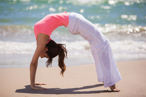 Tác dụng thần kì của cải bó xôi