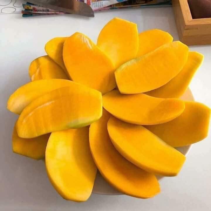 đặc trưng xoài hạt lép đặc trưng xoài hạt lép